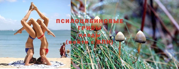 твердый Алексин