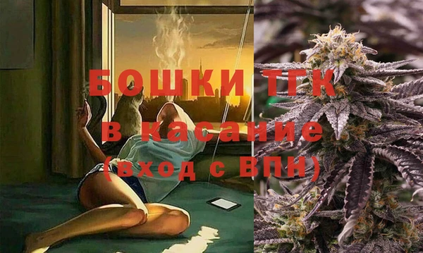 твердый Алексин