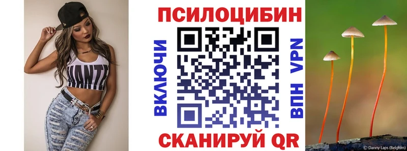 Галлюциногенные грибы Cubensis Бодайбо